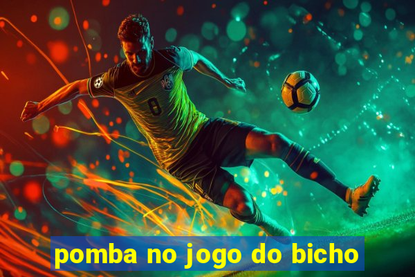 pomba no jogo do bicho